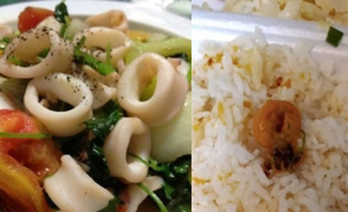 Hí hửng đặt cơm mực xào, đến khi mở ra anh chàng mới choáng váng vì con vật này