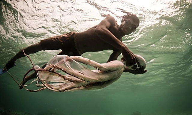 Người Bajau Laut ở Indonesia có khả năng lặn biển siêu đẳng.