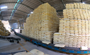 Tổng cục Hải quan hỏa tốc thông báo mở cổng đăng ký tờ khai xuất khẩu gạo từ 0h ngày 25/4