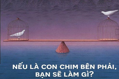 Câu chuyện về hai con chim và bài học tình nghĩa vợ chồng
