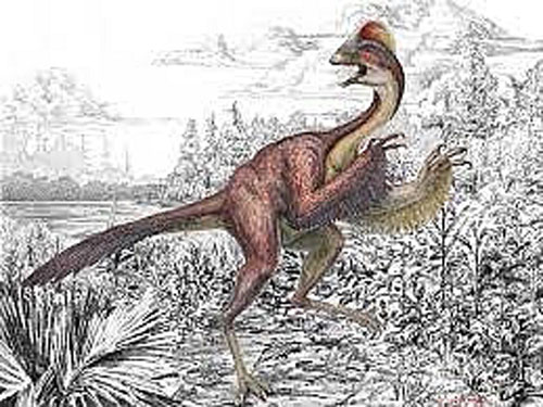 Chấy rận trên khủng long lông