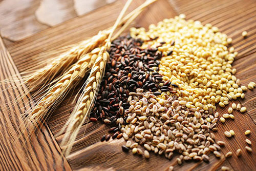 10 thực phẩm tốt nhất cho cơ thể săn chắc