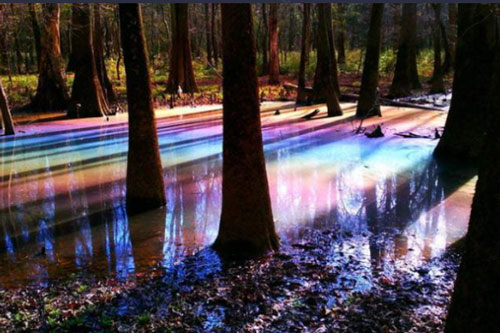 “Bể bơi ngoài hành tinh” kỳ lạ xuất hiện ở Mỹ