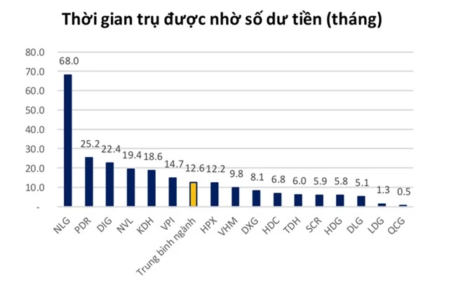 Khổ vì đại dịch, ế ẩm kéo dài, các đại gia địa ốc cầm cự được mấy tháng? - 2