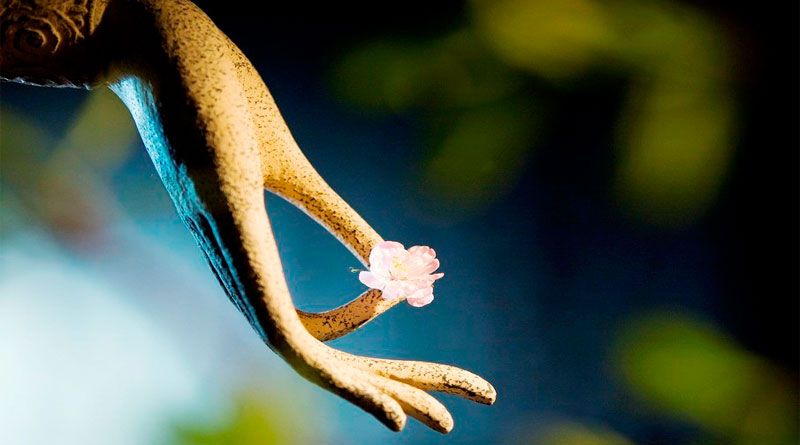 Phật dạy: 9 cách cải biến vận mệnh, hóa giải bất hạnh, tìm lại bình yên mỗi ngày