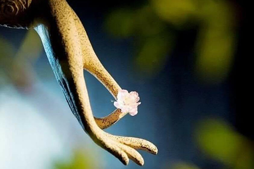 Hạnh phúc lớn nhất trong cõi nhân sinh chính là được sống thanh thản mỗi ngày