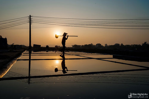 Ngắm bình minh tuyệt đẹp trên cánh đồng muối ở Nghệ An