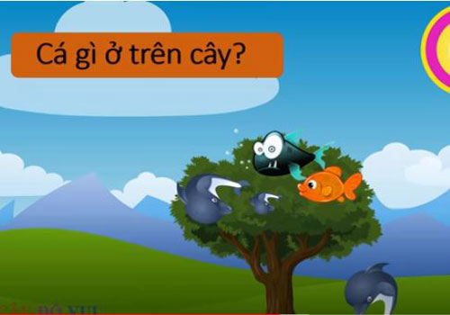 CLIP: Tổng hợp những câu đố mẹo vui nhộn giúp bạn thư giãn đầu óc