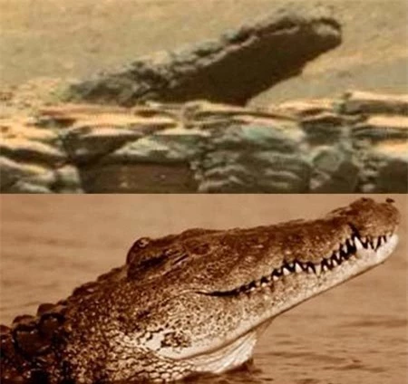 Cá sấu xuất hiện trên sao Hỏa?