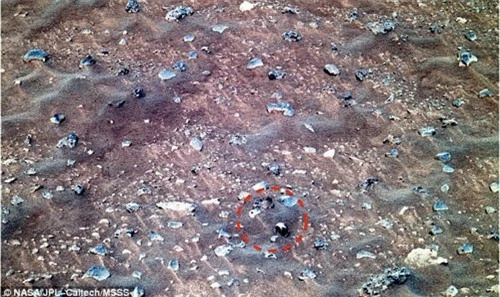 Phát hiện vỏ sò trên sao Hỏa - 2