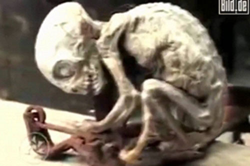 Bí ẩn “lời nguyền chết chóc” từ sinh vật ngoài hành tinh