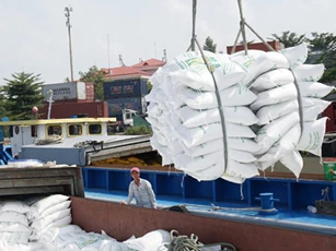 Thanh tra hoạt động quản lý nhà nước về xuất khẩu gạo