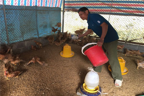 Bắc Kạn: Làm giàu từ mô hình kinh tế trang trại