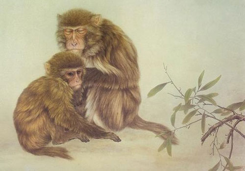 Kể từ tháng 5 dương lịch, 3 con giáp có thể thoát khổ, thăng quan tiến chức, cuối năm giàu có bất ngờ