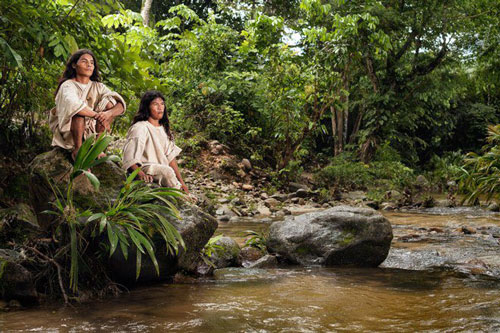 Bí ẩn bộ tộc 8.000 năm ở giữa rừng sâu, có lối sống "thánh thiện" nhất thế giới