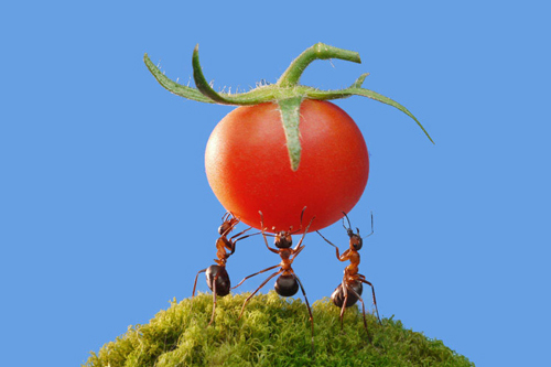 Có công việc không nỗ lực, tất cả xem như vô ích