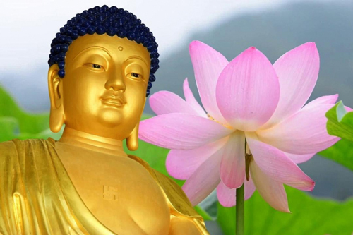 Lời phật dạy về luật nhân quả vô cùng sâu sắc