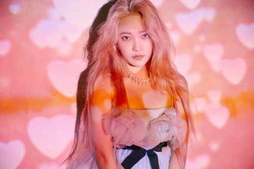 Yeri là thành viên được bổ sung vào nhóm muộn hơn so với Irene, Wendy, Seulgi và Joy, bởi thế nhiều fan Red Velvet cho rằng Yeri không xứng đáng.