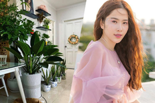 Nam Em thích bày trí cây xanh trong nhà