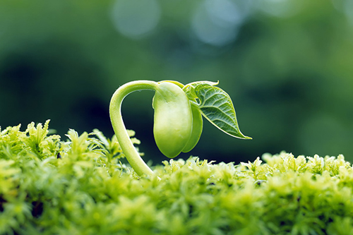 Con người khổ vì lòng tham chứ không phải mong muốn