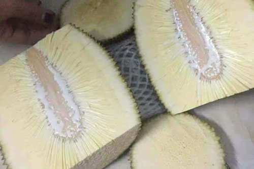 Tin bà bán hàng rao mít không hạt, thanh niên về bổ ra thấy đúng nhưng lại khóc "không ra tiếng"