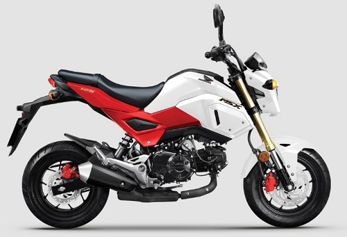"Xế khỉ" Honda MSX 125 2020 về Việt Nam, giá bán 50 triệu đồng