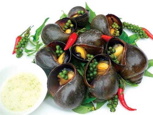 Đại kị khi ăn ốc nhiều người vẫn phạm phải: Đều thứ 6 khiến món ăn tạo thành chất độc tương đương thạch tín