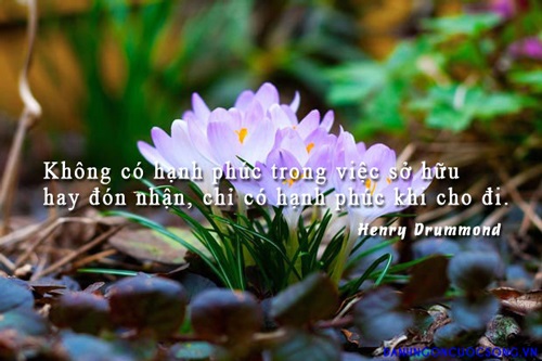 Hạnh phúc đích thực của một người phụ nữ nằm ở đâu và bài học về cuộc sống