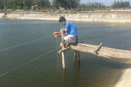 Bà Rịa – Vũng Tàu: Làm giàu từ nuôi trồng thủy sản