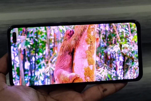 V19 được trang bị màn hình Super AMOLED, kích thước 6,44 inch, độ phân giải Full HD Plus (2.400x1.080 pixel), mật độ điểm ảnh 409 ppi. Màn hình này được chia theo tỷ lệ 20:9, thiết kế dạng “nốt ruồi”, tích hợp dải màu DCI-P3, chiếm 91,38% diện tích mặt trước.