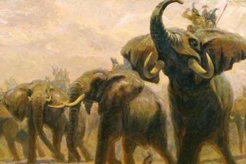 Cách tuyển voi oai hùng trong sử Việt: '500 lính múa đao xông tới, voi Chúa Nguyễn vẫn đứng yên'