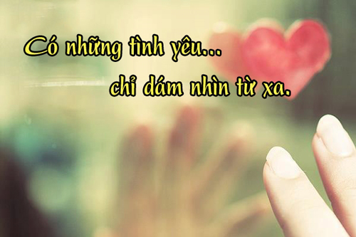 Người trong lòng đã không có bạn, hà cớ chi bạn lại giữ trong tâm?