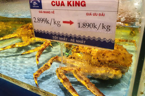 Tôm cua Alaska giá đang "bèo", chủ nhà hàng lớn vẫn "lắc đầu" không bán