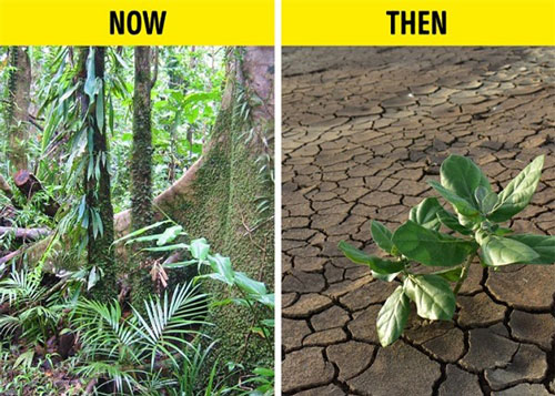 Điều gì xảy ra khi đất liền và biển hoán đổi vị trí cho nhau?