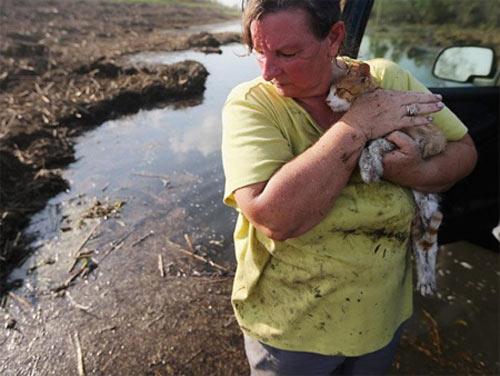 Đây đích thị là 7 người đen đủi nhất hành tinh