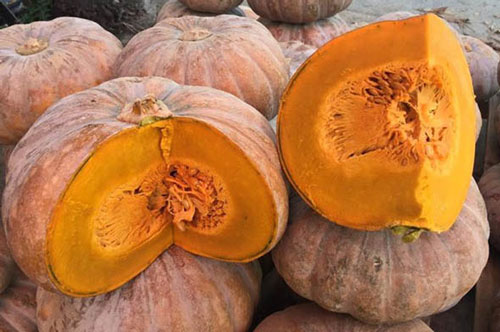 Ai cũng biết bí đỏ tốt nhưng ăn kiểu này cực độc: 70% người Việt phạm phải