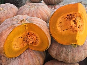 Ai cũng biết bí đỏ tốt nhưng ăn kiểu này cực độc: 70% người Việt phạm phải