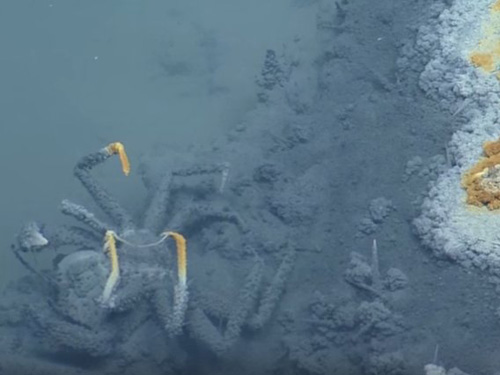 “Hồ tử thần” giữa lòng đại dương: Ai đi đến đều không thể trở về