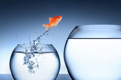 Người giàu thường biết vì sao họ giàu, còn người nghèo không bao giờ nhận ra tại sao họ nghèo