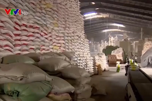 Nhiều bất cập nảy sinh khi áp hạn ngạch ngắn hạn cho hoạt động xuất khẩu gạo