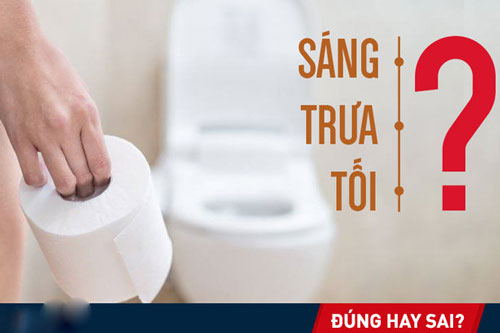 Đi đại tiện ngay sau khi ngủ dậy là tốt hay xấu? Câu trả lời không phải ai cũng biết