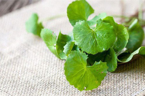 5 thực phẩm chữa nhiệt miệng nhanh chóng và hiệu quả