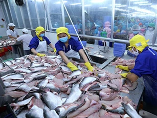 Xuất khẩu cá tra sang Asean sẽ hồi phục sau Covid-19
