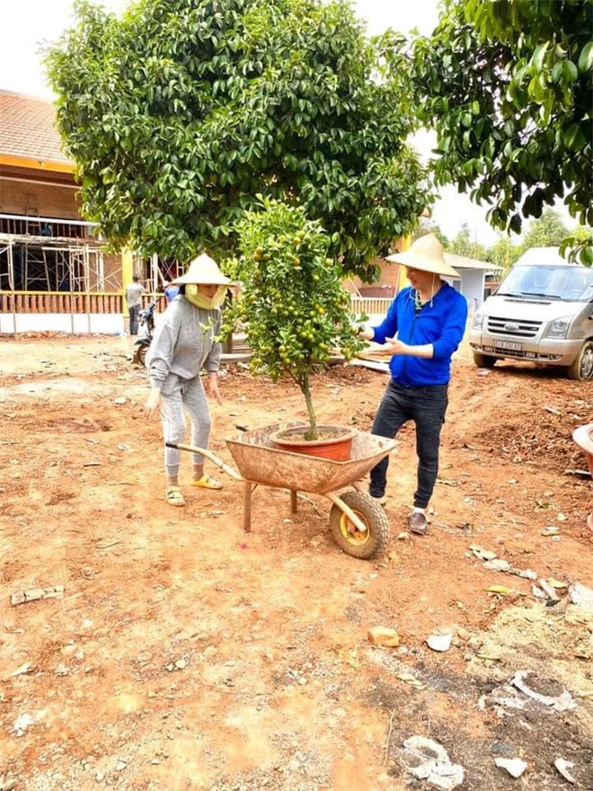 Lý Nhã Kỳ: Từ mỹ nữ siêu lộng lẫy, sang chảnh tới nữ nông dân lấm lem bùn đất - Ảnh 10.