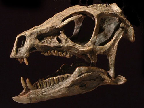 Khủng long “ác quỷ” ăn chay