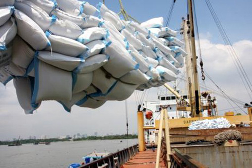 Doanh nghiệp gạo đẩy nhanh tiến độ hoàn thành đơn hàng