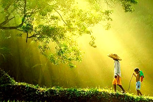 'Việc hôm nay không như ý nguyện, hãy tin ông trời đã có an bài khác'