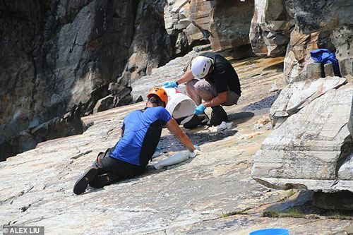 Choáng váng với đàn "quái vật" 570 triệu tuổi không nội tạng, "nối mạng" bằng tơ