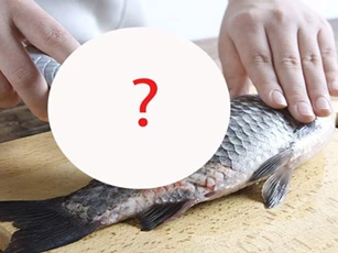 Không ngờ chỉ cần dụng cụ nhà nào cũng có, vẩy cá được đánh sạch sẽ mà không sợ đứt tay