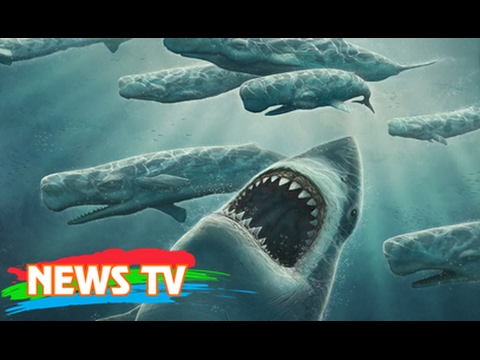 Tìm thấy “siêu cá mập” lớn tuổi hơn khủng long cổ đại